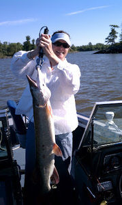 Meet your Posher, Donna